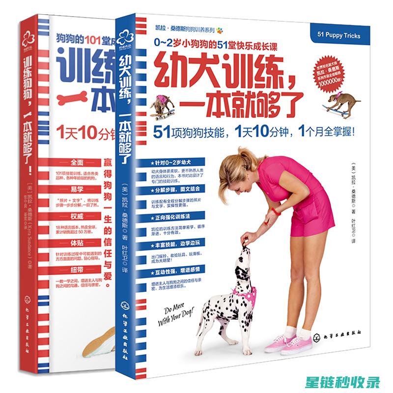 探索狗狗训练口令的奥秘，助您轻松指挥爱宠 (探索狗狗训练方法)