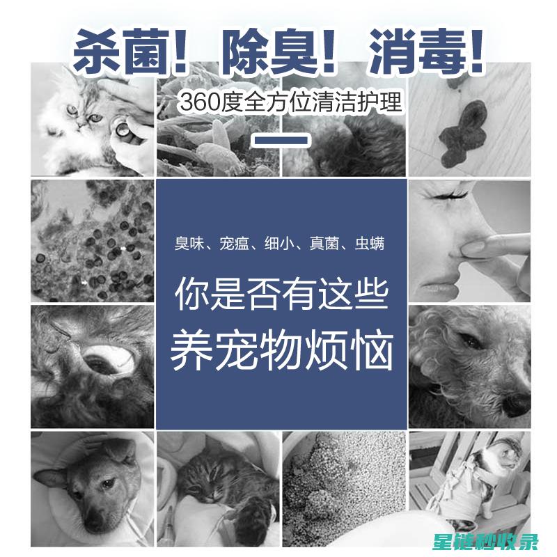 宠物异味去除：你真的了解这些常见的去除方法吗？ (宠物异味去除剂)