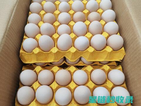 剥鸡蛋太慢？学会这个技巧快速搞定 (剥鸡蛋的快速方法的原因)